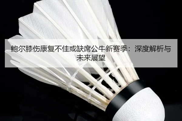 bao-er-xi-shang-kang-fu-bu-jia-huo-que-xi-gong-niu-xin-sai-ji-shen-du-jie-xi-yu-wei-lai-zhan-wang-1-537.jpg